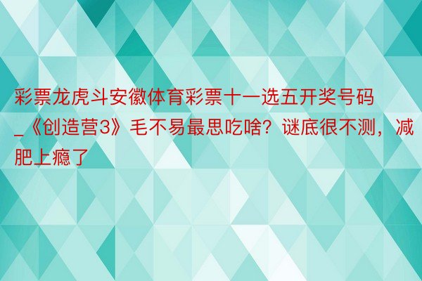 彩票龙虎斗安徽体育彩票十一选五开奖号码_《创造营3》毛不易最思吃啥？谜底很不测，减肥上瘾了