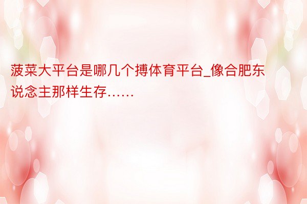 菠菜大平台是哪几个搏体育平台_像合肥东说念主那样生存……