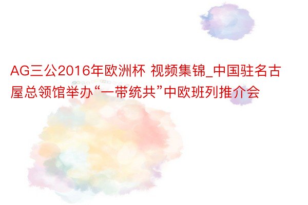 AG三公2016年欧洲杯 视频集锦_中国驻名古屋总领馆举办“一带统共”中欧班列推介会
