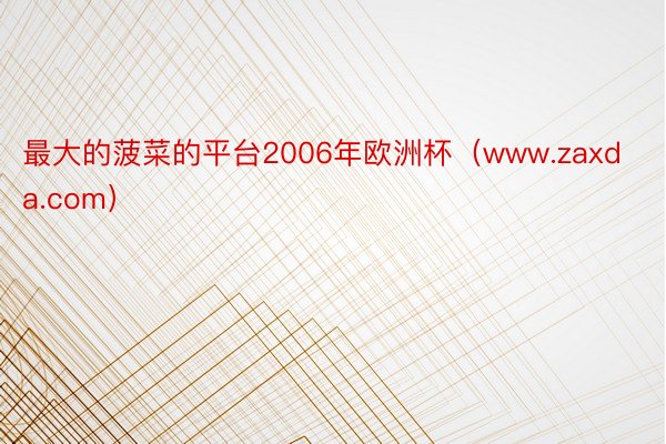 最大的菠菜的平台2006年欧洲杯（www.zaxda.com）
