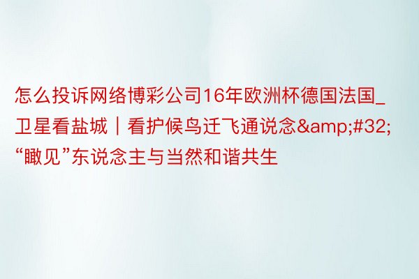 怎么投诉网络博彩公司16年欧洲杯德国法国_卫星看盐城｜看护候鸟迁飞通说念&#32;“瞰见”东说念主与当然和谐共生