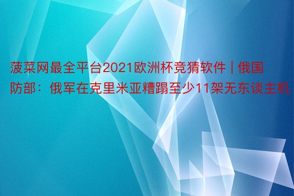 菠菜网最全平台2021欧洲杯竞猜软件 | 俄国防部：俄军在克里米亚糟蹋至少11架无东谈主机